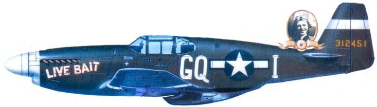 Иллюстрация к книге — Р-51 «Mustang» Часть 1 [pic_155.jpg]