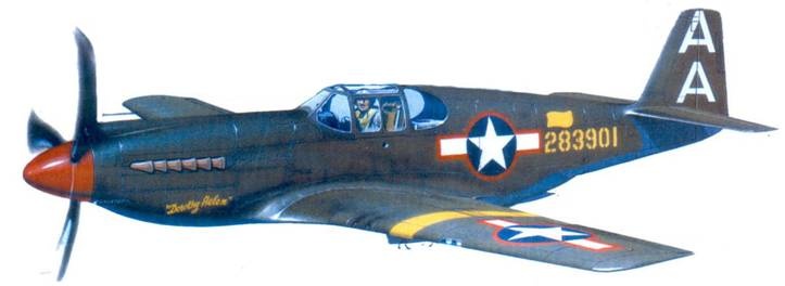 Иллюстрация к книге — Р-51 «Mustang» Часть 1 [pic_159.jpg]