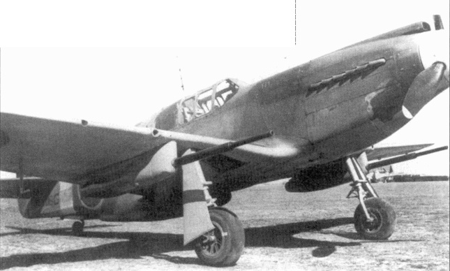 Иллюстрация к книге — Р-51 «Mustang» Часть 1 [pic_49.jpg]