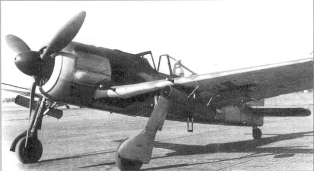 Иллюстрация к книге — Асы люфтваффе пилоты Fw 190 на Западном фронте [pic_1.jpg]