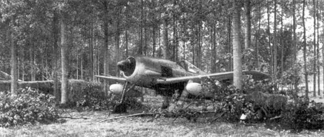 Иллюстрация к книге — Асы люфтваффе пилоты Fw 190 на Западном фронте [pic_106.jpg]