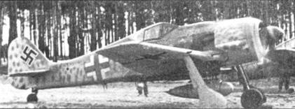 Иллюстрация к книге — Асы люфтваффе пилоты Fw 190 на Западном фронте [pic_114.jpg]