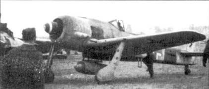 Иллюстрация к книге — Асы люфтваффе пилоты Fw 190 на Западном фронте [pic_120.jpg]