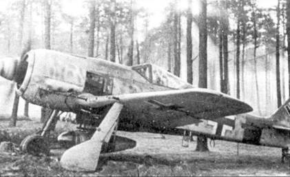 Иллюстрация к книге — Асы люфтваффе пилоты Fw 190 на Западном фронте [pic_123.jpg]
