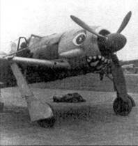 Иллюстрация к книге — Асы люфтваффе пилоты Fw 190 на Западном фронте [pic_30.jpg]