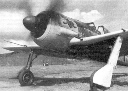 Иллюстрация к книге — Асы люфтваффе пилоты Fw 190 на Западном фронте [pic_32.jpg]