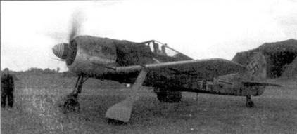 Иллюстрация к книге — Асы люфтваффе пилоты Fw 190 на Западном фронте [pic_59.jpg]