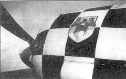 Иллюстрация к книге — Асы люфтваффе пилоты Fw 190 на Западном фронте [pic_85.jpg]