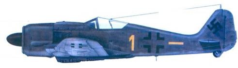 Иллюстрация к книге — Асы люфтваффе. Пилоты Fw 190 на Восточном фронте [pic_116.jpg]