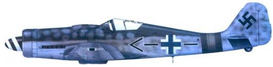 Иллюстрация к книге — Асы люфтваффе. Пилоты Fw 190 на Восточном фронте [pic_118.jpg]