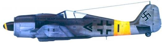 Иллюстрация к книге — Асы люфтваффе. Пилоты Fw 190 на Восточном фронте [pic_121.jpg]