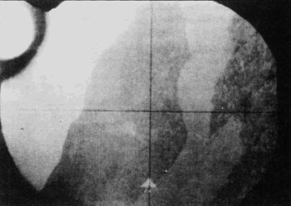 Иллюстрация к книге — Боевое применение МиГ-17 и МиГ-19 во Вьетнаме [pic_41.jpg]