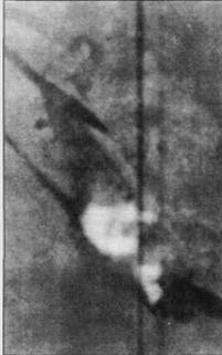 Иллюстрация к книге — Боевое применение МиГ-17 и МиГ-19 во Вьетнаме [pic_59.jpg]