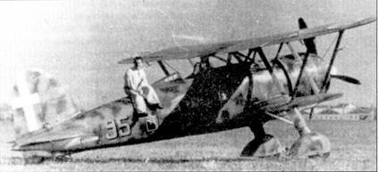 Иллюстрация к книге — Итальянские асы 1940-45 г. [pic_104.jpg]