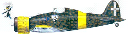 Иллюстрация к книге — Итальянские асы 1940-45 г. [pic_154.jpg]