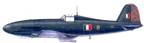 Иллюстрация к книге — Итальянские асы 1940-45 г. [pic_178.jpg]