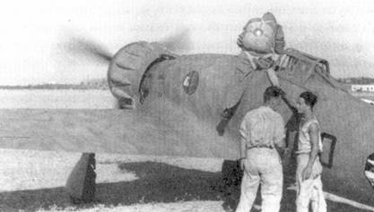 Иллюстрация к книге — Итальянские асы 1940-45 г. [pic_3.jpg]