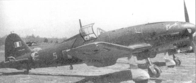 Иллюстрация к книге — Итальянские асы 1940-45 г. [pic_42.jpg]