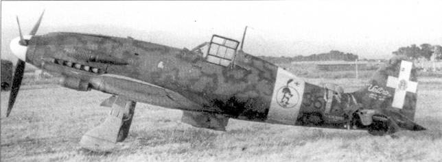 Иллюстрация к книге — Итальянские асы 1940-45 г. [pic_62.jpg]