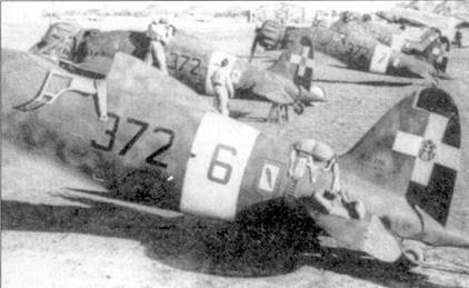 Иллюстрация к книге — Итальянские асы 1940-45 г. [pic_64.jpg]