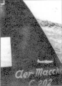 Иллюстрация к книге — Итальянские асы 1940-45 г. [pic_81.jpg]