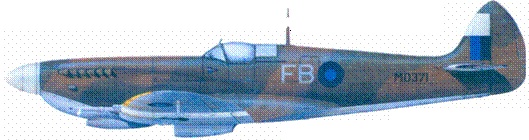 Иллюстрация к книге — Британские асы пилоты «Спитфайров» Часть 2 [pic_127.jpg]