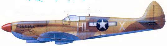 Иллюстрация к книге — Британские асы пилоты «Спитфайров» Часть 2 [pic_217.jpg]