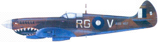 Иллюстрация к книге — Британские асы пилоты «Спитфайров» Часть 2 [pic_96.jpg]