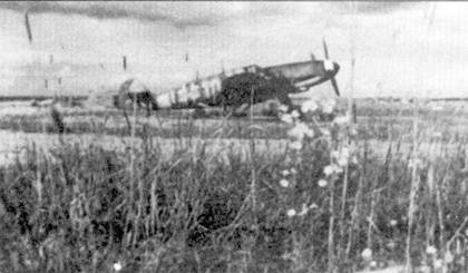 Иллюстрация к книге — Асы Люфтваффе Пилоты люфтваффе Bf 109 на Восточном Фронте [pic_71.jpg]