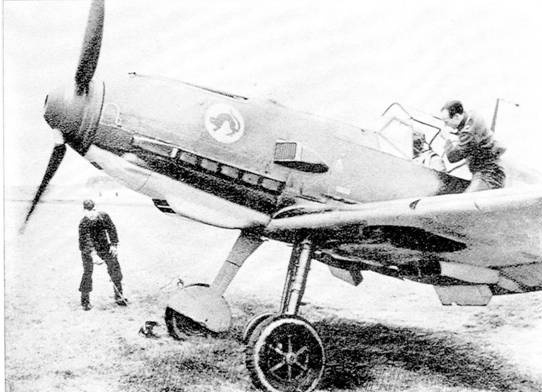 Иллюстрация к книге — Асы Люфтваффе пилоты Bf 109 D/E 1939-41 [pic_2.jpg]