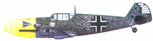 Иллюстрация к книге — Асы Люфтваффе пилоты Bf 109 D/E 1939-41 [pic_37.jpg]