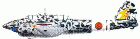 Иллюстрация к книге — Японские асы. Армейская авиация 1937-45 [pic_166.jpg]