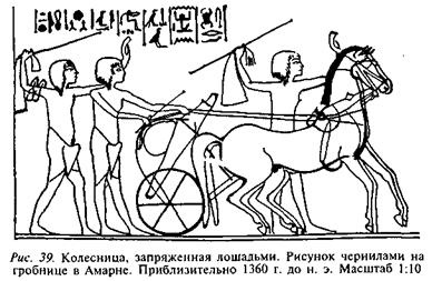 Иллюстрация к книге — Египтяне. Великие строители пирамид [image44.jpg]