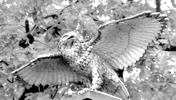 Иллюстрация к книге — Повести каменных горожан. Очерки о декоративной скульптуре Санкт-Петербурга [i_226.jpg]