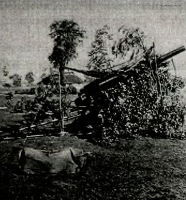 Иллюстрация к книге — Штурм Брестской крепости [i_021.jpg]