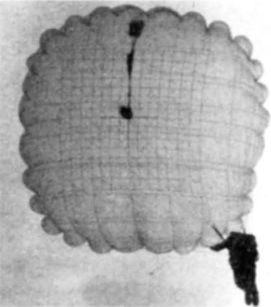 Иллюстрация к книге — Воздушно-десантные войска. История российского десанта [i_110.jpg]