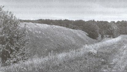 Иллюстрация к книге — Скифы. Исчезнувшие владыки степей [i_022.jpg]