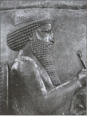 Иллюстрация к книге — Скифы. Исчезнувшие владыки степей [i_030.jpg]