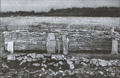 Иллюстрация к книге — Скифы. Исчезнувшие владыки степей [i_043.jpg]