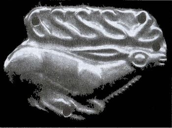 Иллюстрация к книге — Скифы. Исчезнувшие владыки степей [i_067.jpg]