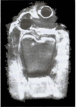 Иллюстрация к книге — Скифы. Исчезнувшие владыки степей [i_081.jpg]