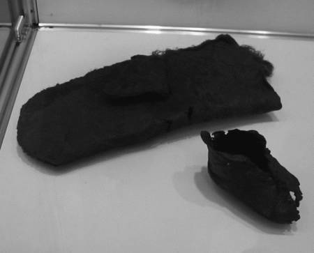 Иллюстрация к книге — Славянская Европа V-VIII веков [i_085.jpg]