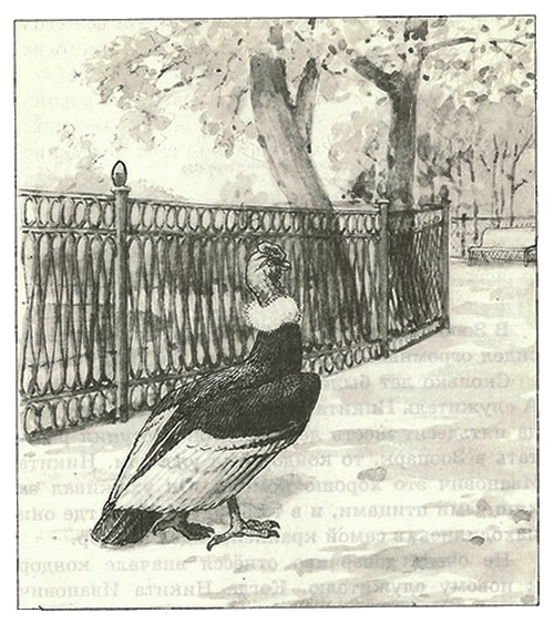 Иллюстрация к книге — Питомцы Зоопарка [i_006.jpg]