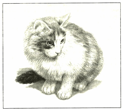 Иллюстрация к книге — Питомцы Зоопарка [i_026.jpg]