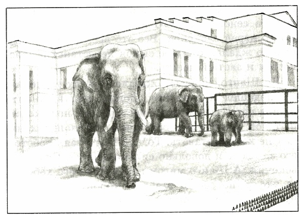 Иллюстрация к книге — Питомцы Зоопарка [i_031.jpg]