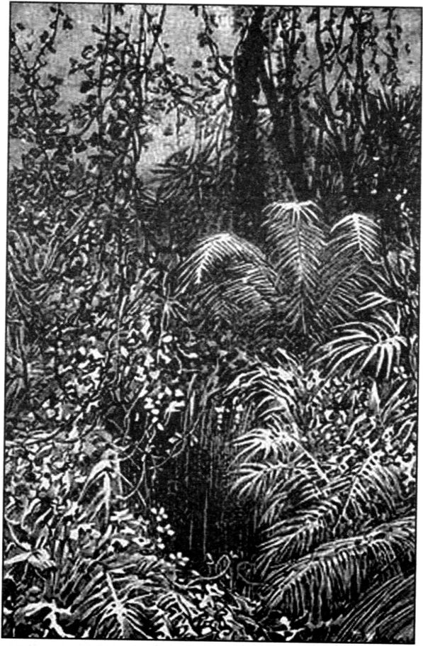 Иллюстрация к книге — Гибель мира [i_018.jpg]