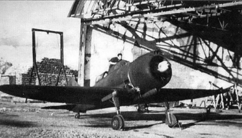 Иллюстрация к книге — Итальянские истребители Reggiane во Второй мировой войне [pic_50.jpg]