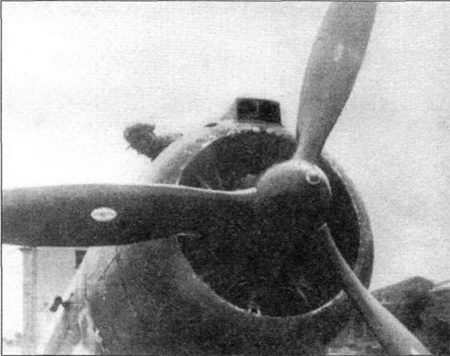 Иллюстрация к книге — Итальянские истребители Reggiane во Второй мировой войне [pic_53.jpg]