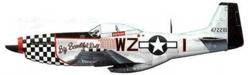 Иллюстрация к книге — «Мустанги» над Рейхом [pic_114.jpg]