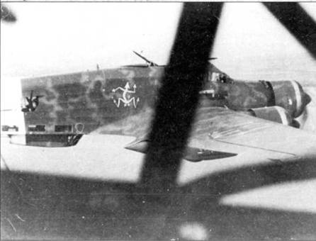 Иллюстрация к книге — Savoia Marchetti S.79 Фотоархив [pic_129.jpg]